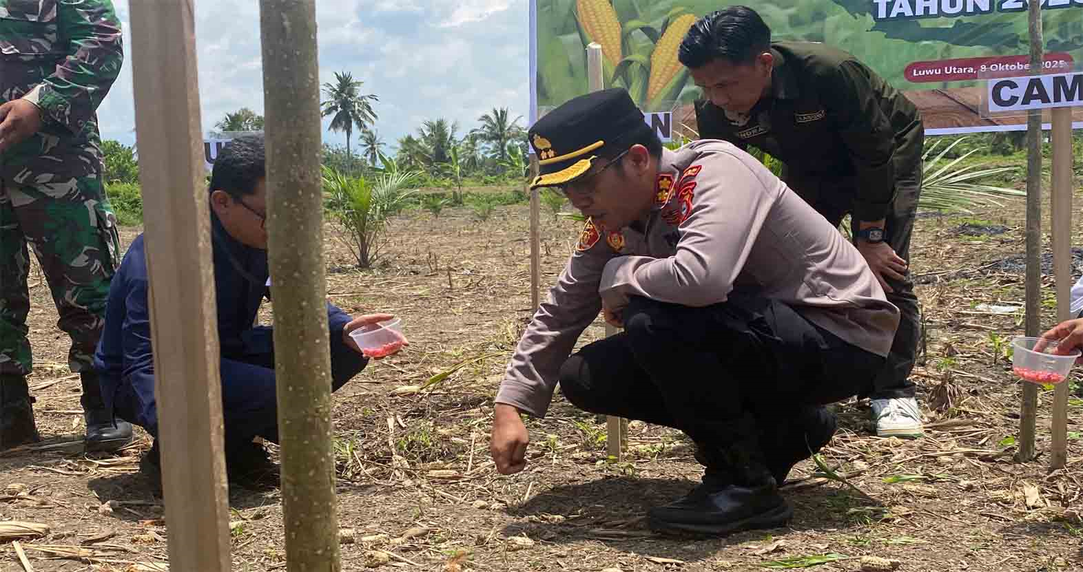 Polres Luwu Utara Tanam Jagung Serentak Kuartal IV Tahun 2025, Bukti Nyata Dukungan Terhadap Swasembada Pangan Nasional
